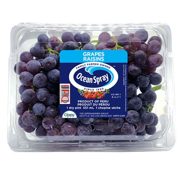 Fresh For The Bold Ground Amazon - Image 2